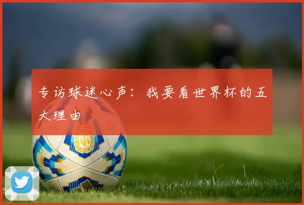 专访球迷心声:我要看世界杯的五大理由