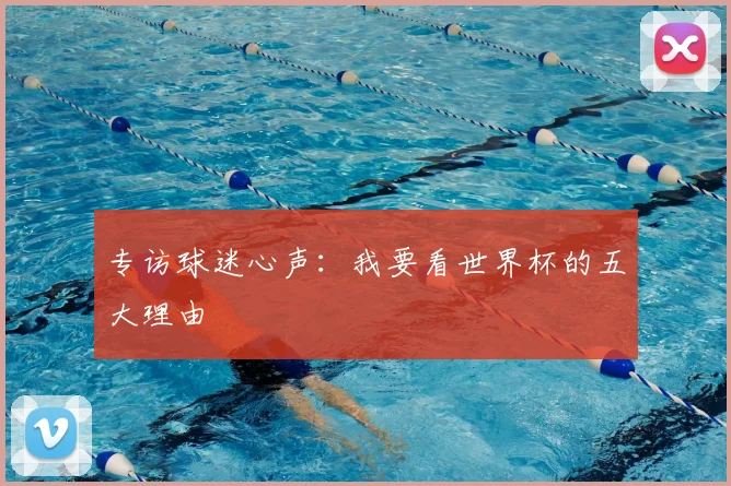 专访球迷心声：我要看世界杯的五大理由