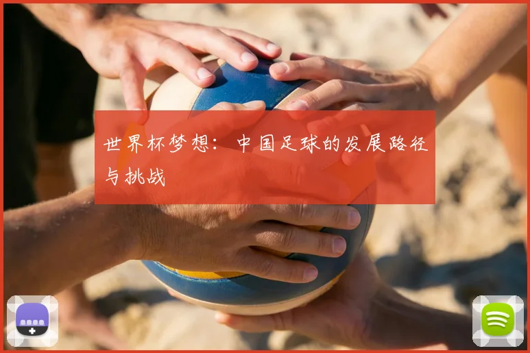 世界杯梦想:中国足球的发展路径与挑战
