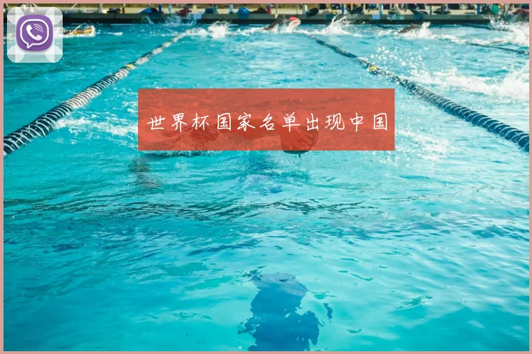 世界杯国家名单出现中国