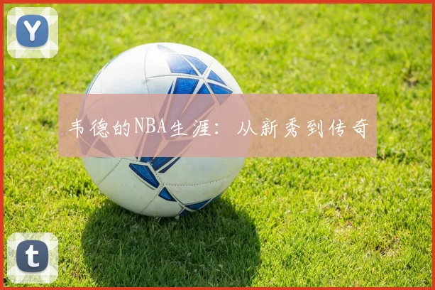 韦德的NBA生涯：从新秀到传奇