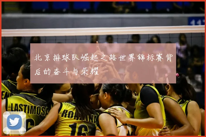 北京排球队崛起之路世界锦标赛背后的奋斗与荣耀