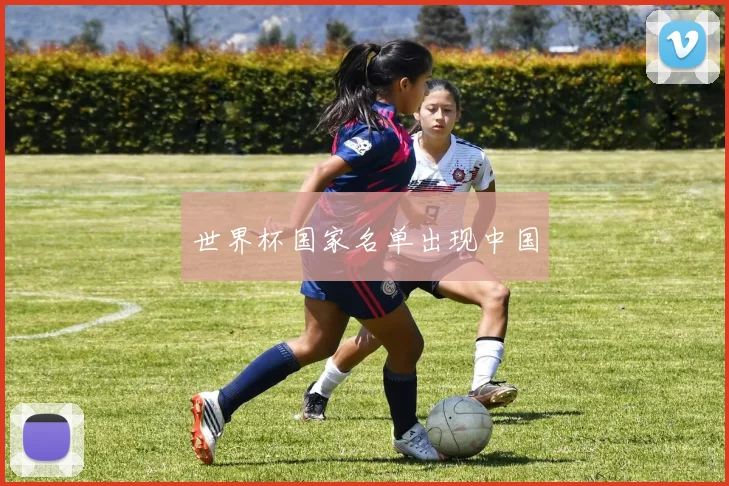 世界杯国家名单出现中国