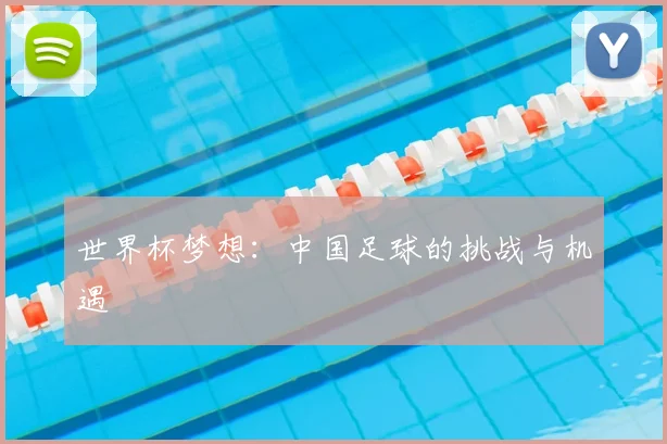世界杯梦想：中国足球的挑战与机遇