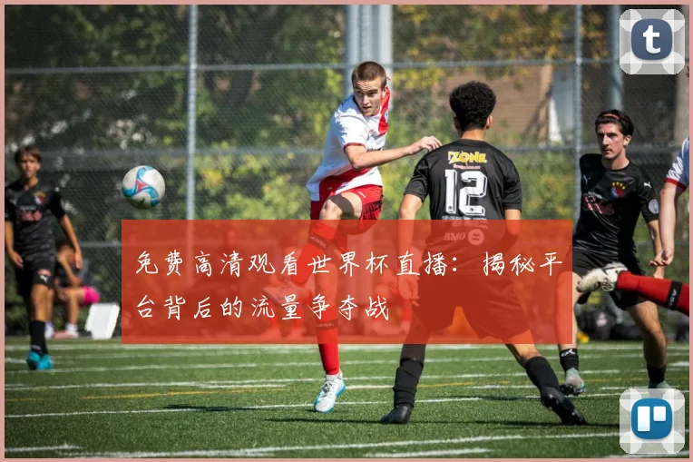 免费高清观看世界杯直播：揭秘平台背后的流量争夺战