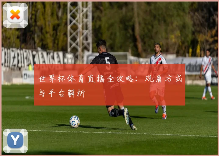 世界杯体育直播全攻略：观看方式与平台解析