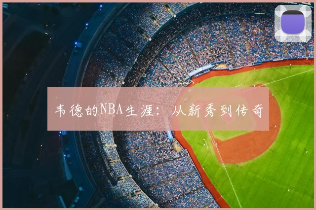 韦德的NBA生涯：从新秀到传奇