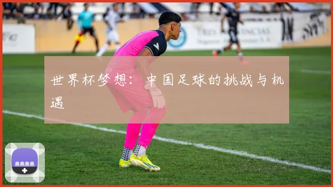 世界杯梦想：中国足球的挑战与机遇