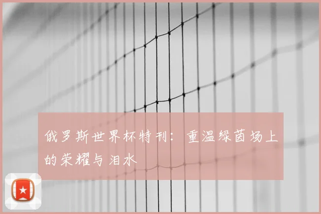 俄罗斯世界杯特刊：重温绿茵场上的荣耀与泪水
