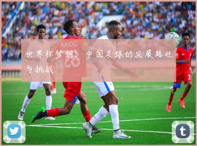 世界杯梦想：中国足球的发展路径与挑战